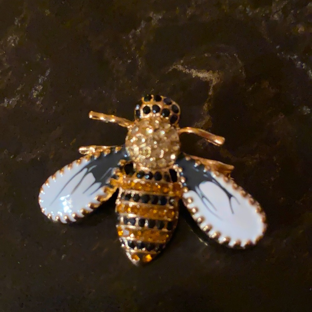 Bumblebee brooch/pin